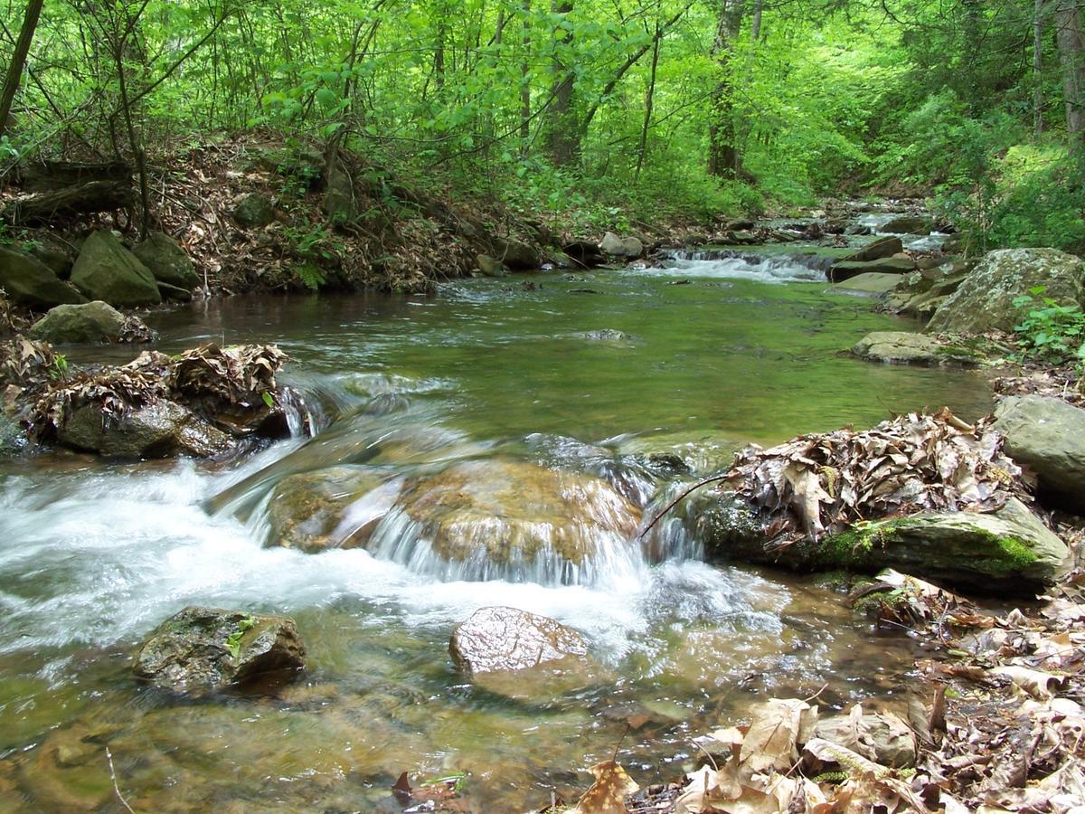 Cabin Creekwood Lyndhurst Εξωτερικό φωτογραφία