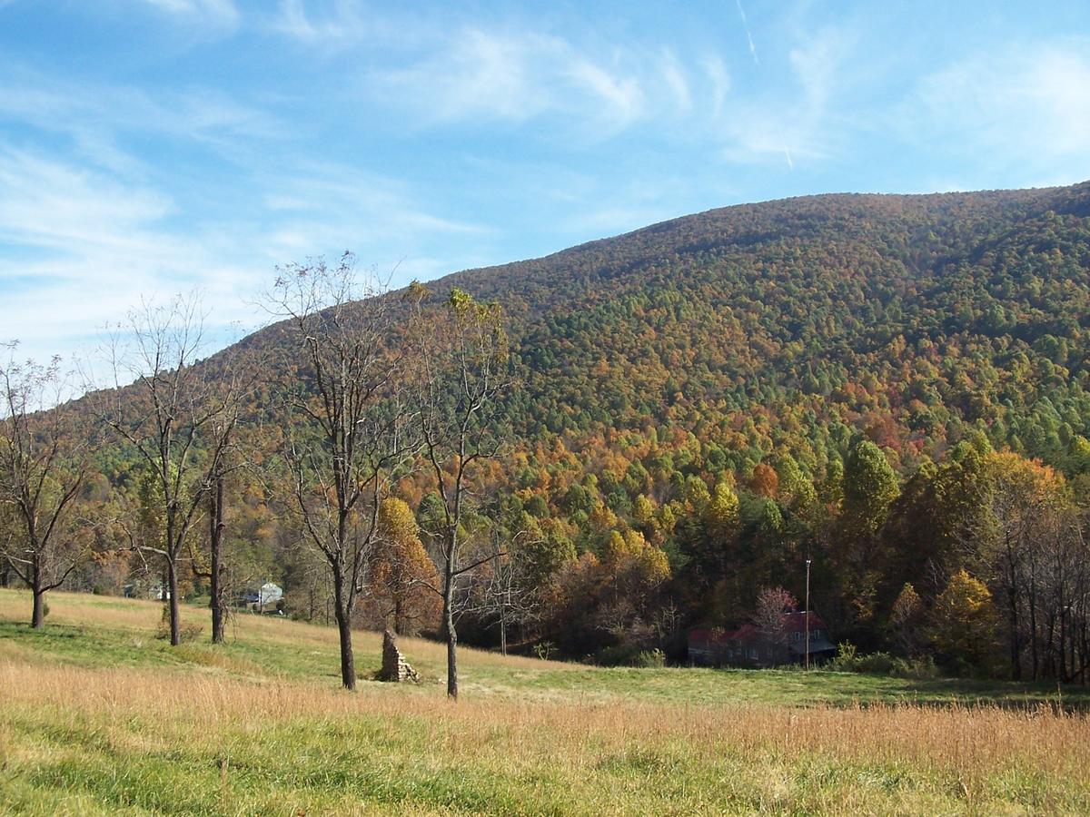 Cabin Creekwood Lyndhurst Εξωτερικό φωτογραφία